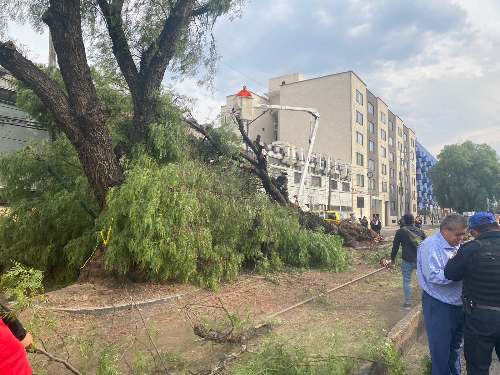 The wind caused tree falls and other accidents throughout CDMX and Edomex (Photo:Twitter/@SGIRPC_CDMX)