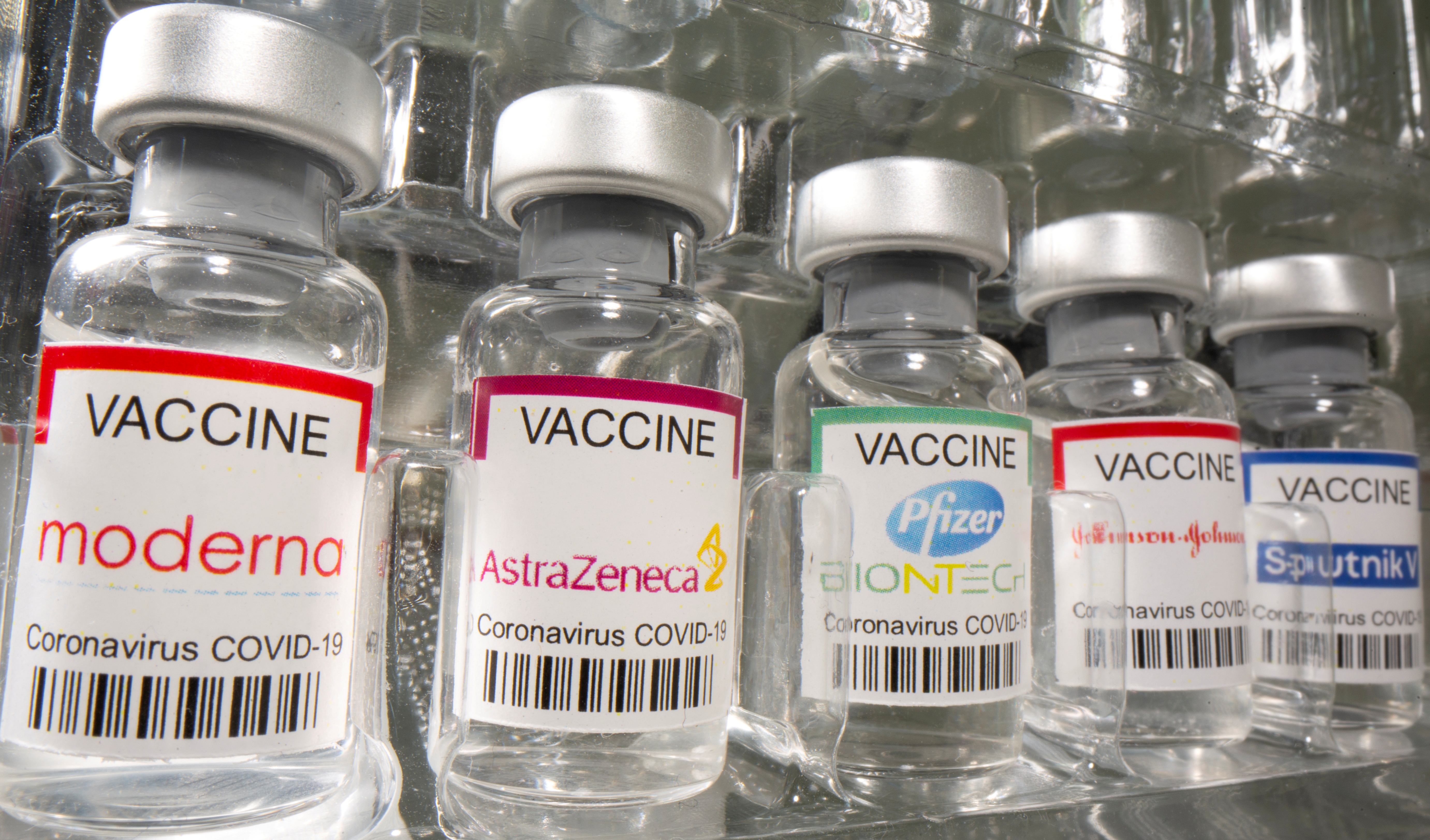 En total, hay 9 vacunas contra el COVID-19 autorizadas para uso masivo en el mundo (REUTERS/Dado Ruvic/Archivo)