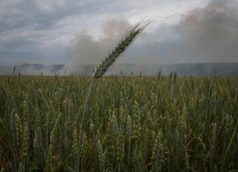 FOTO DE ARCHIVO: El humo se eleva en el cielo después de los bombardeos cerca de un campo de trigo de invierno, en medio del ataque de Rusia a Ucrania, cerca de la ciudad de Bakhmut, en la región de Donetsk, Ucrania, el 18 de junio de 2022. REUTERS/Gleb Garanich