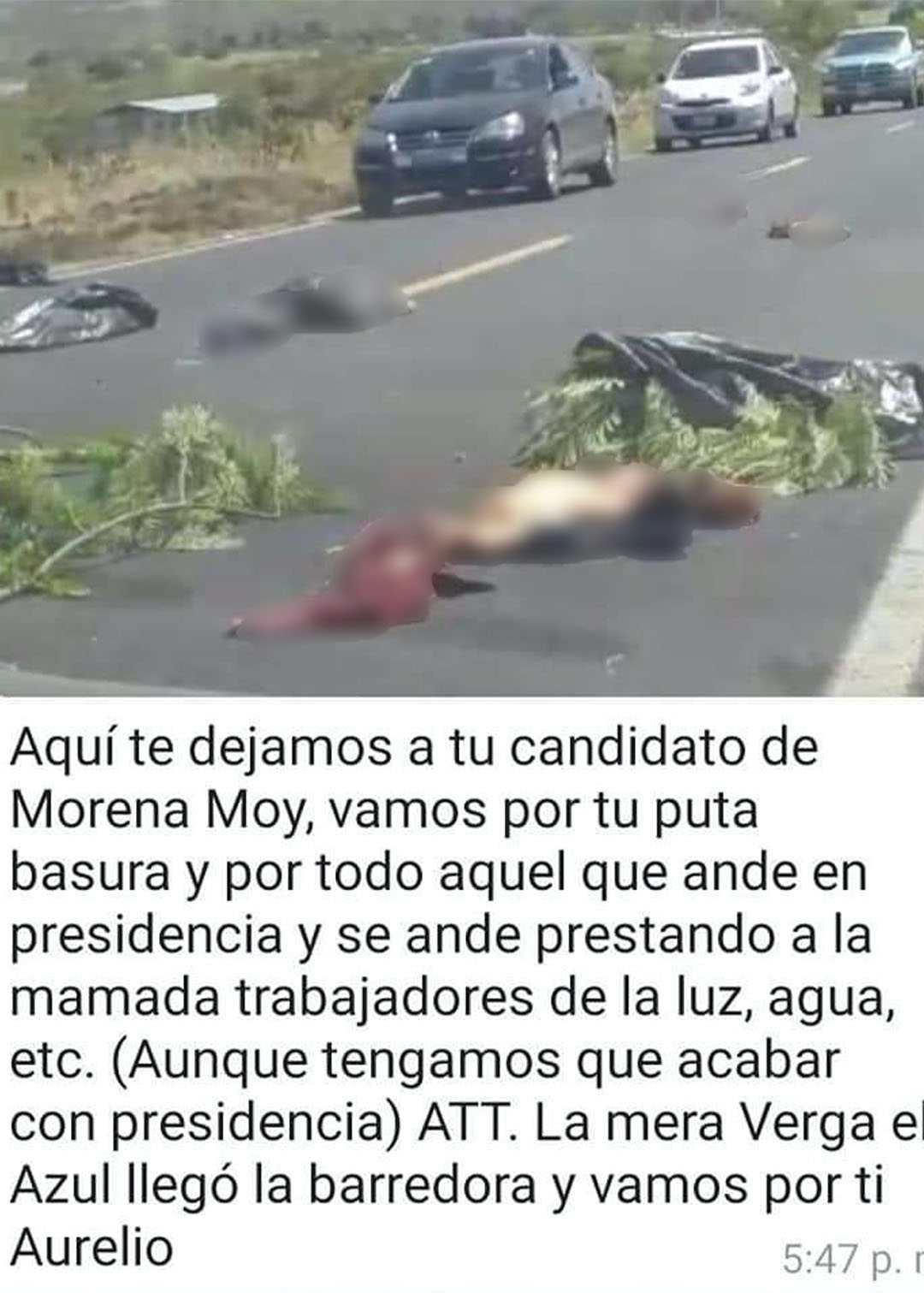 Los restos del ex candidato de Morena aparecieron descuartizados en Guanajuato (Foto: Twitter@fernand17704066)
