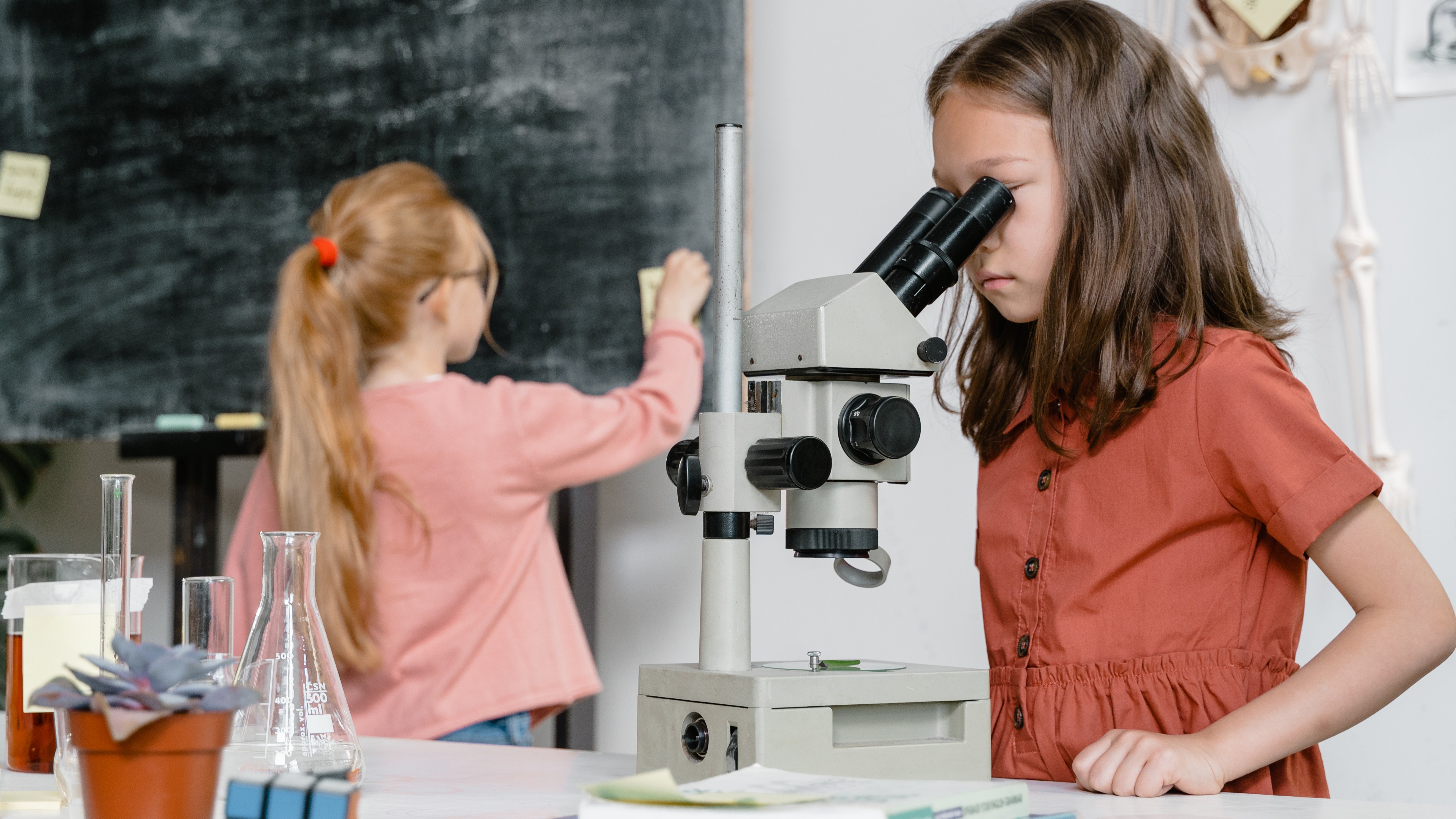 Las niñas necesitan estímulo hay que respaldarlas para que hagan preguntas y se aventuren a armar y desarmar cosas  (Pixabay)