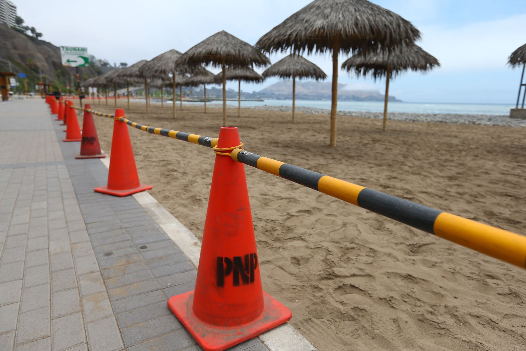 Alcalde de Miraflores solicitará al Minsa cierre “inmediato” de playas de su distrito por gripe aviar
