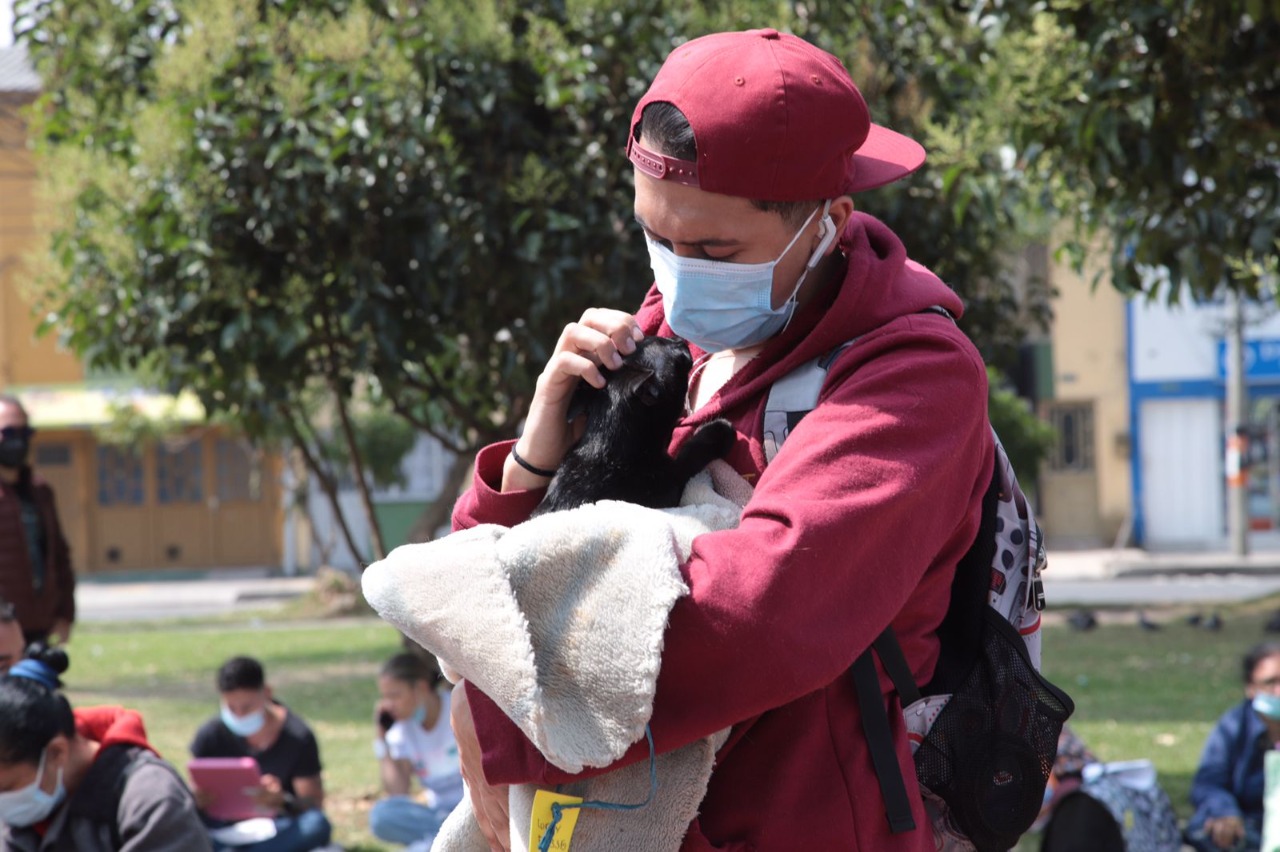 En Enero Bogotá ofrecerá más de 4.000 turnos para la esterilización de los caninos y felinos más vulnerables