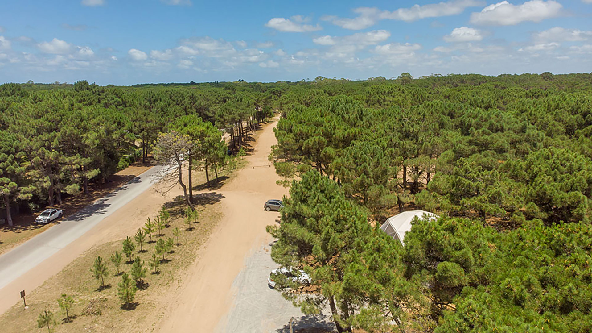 Pinamar Norte se sigue expandiendo con la venta de terrenos entre los bosques y la arena