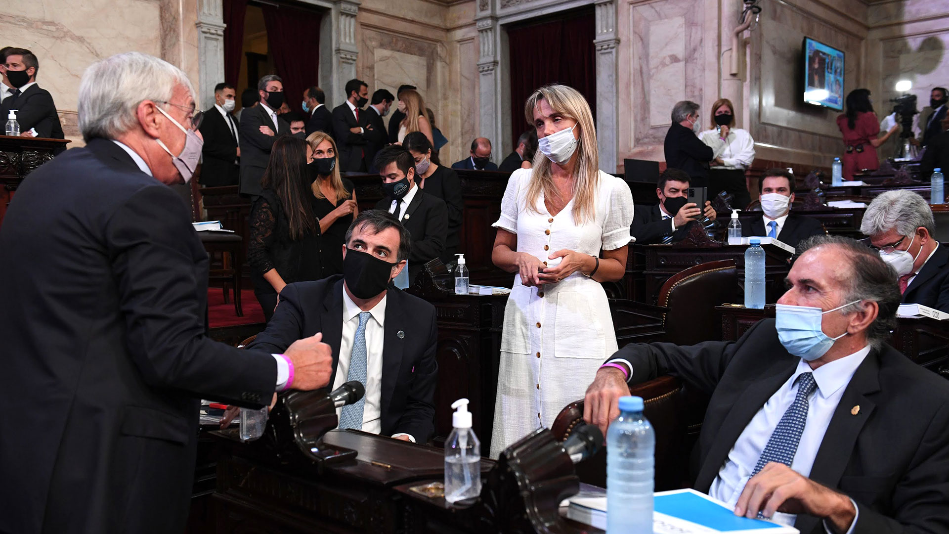 Diputados y senadores opositores en la Asamblea Legislativa (Comunicación Senado)