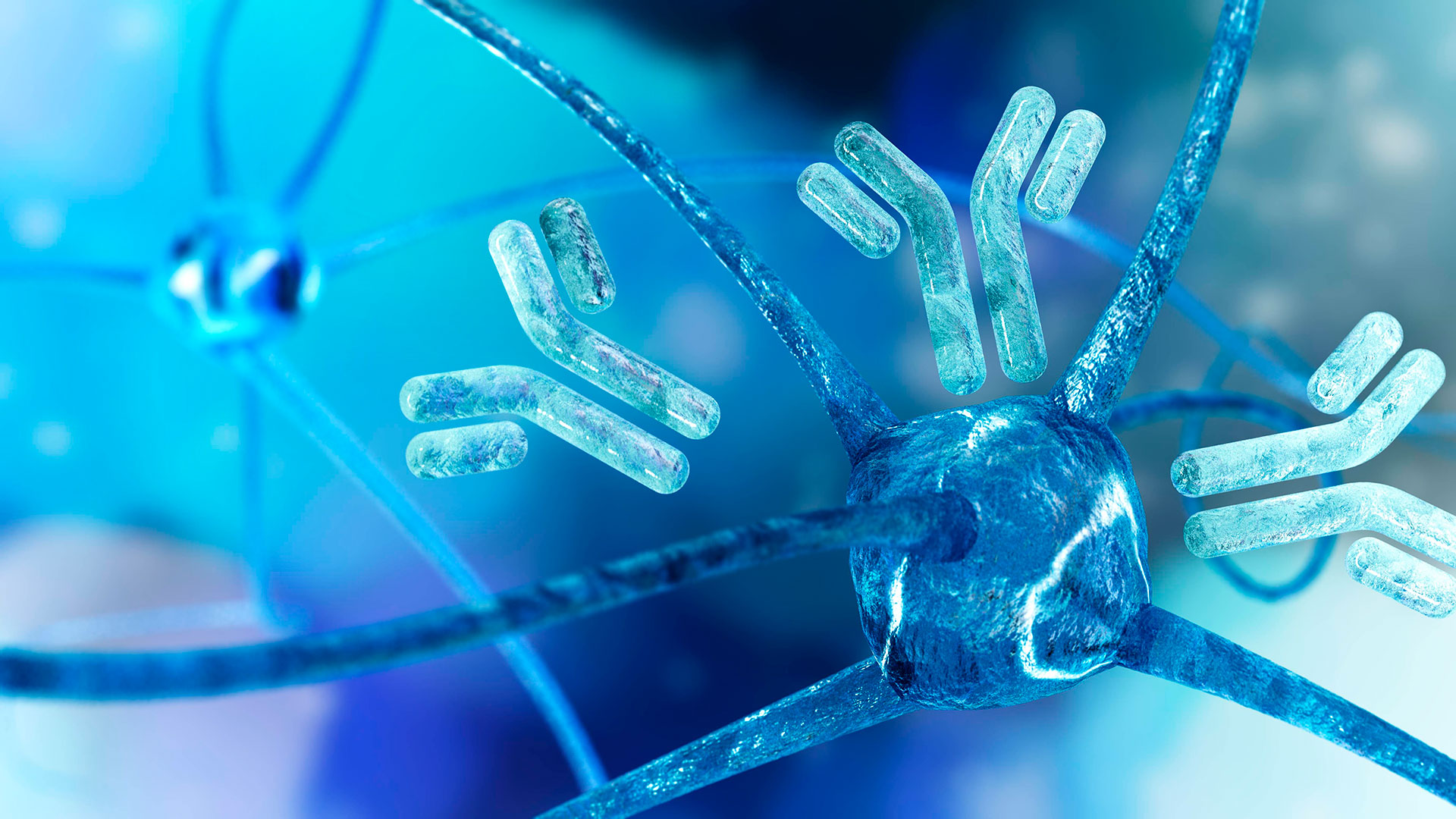 Los anticuerpos monoclonales son una opción terapéutica prometedora frente al nuevo coronavirus (Shutterstock)