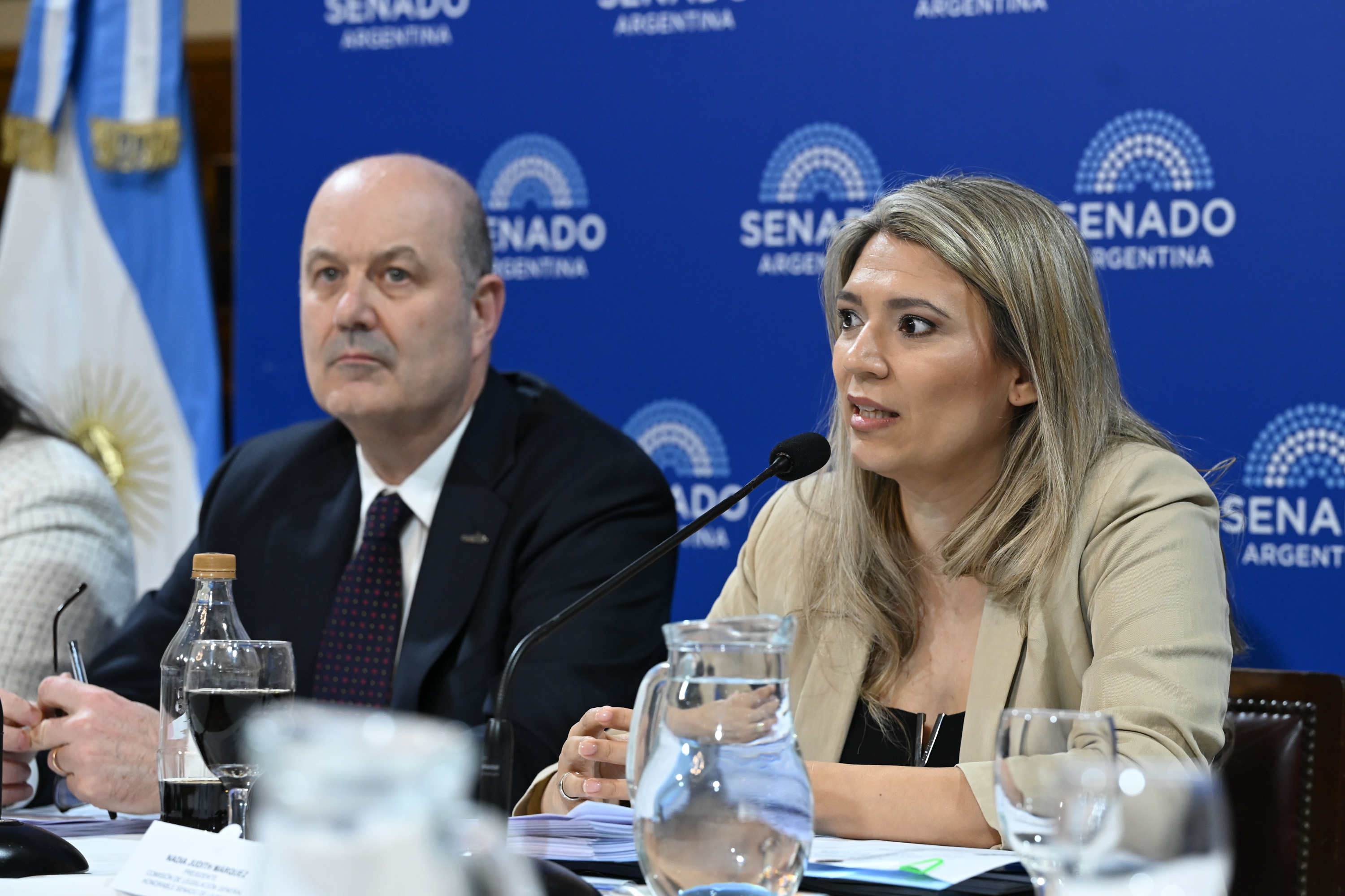 El Senado reanuda el debate por la ley de Sociedades: expondr&aacute;n ex funcionarios y una empresa geoespacial