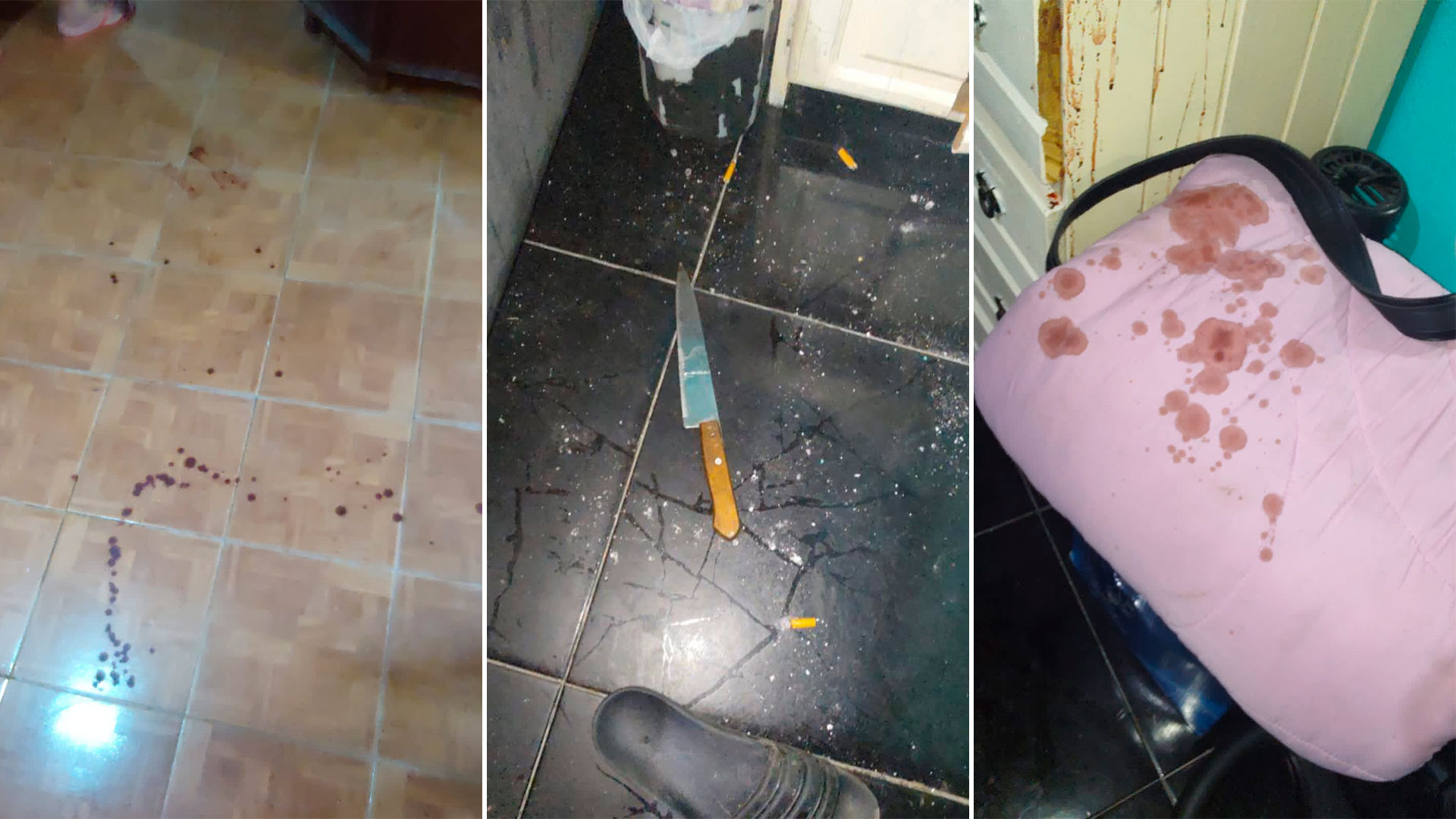 La Policía Científica secuestró el arma usada para cometer el crimen de Jorge