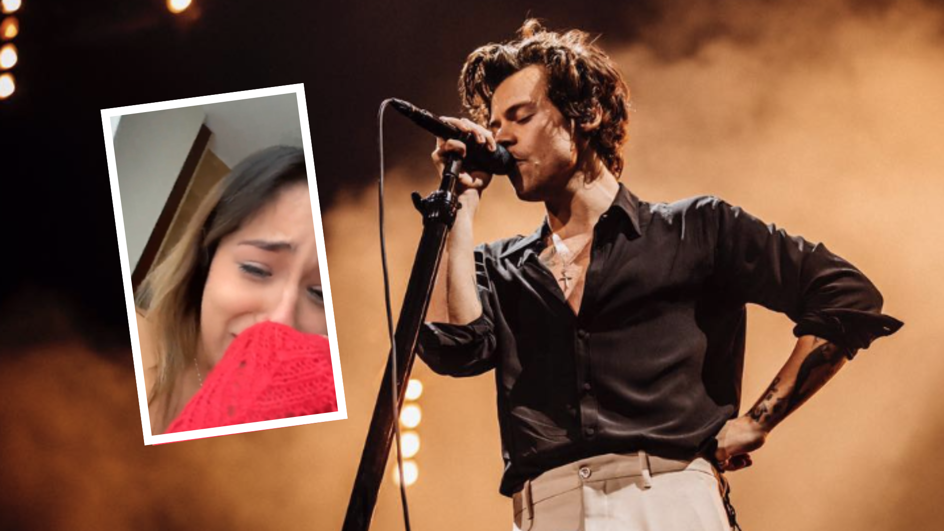 Fan De Harry Styles Llora De Emoción Y Asegura Que Conoció Al Cantante