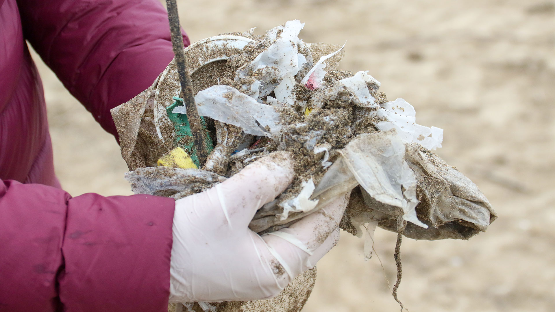 El 80% de la basura marina proviene del continente debido a la mala disposición (Vida Silvestre)