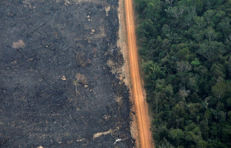 Foto de archivo. Vista aérea muestra un terreno deforestado del Amazonas, cerca de Porto Vehlo, Brasil. 17 de septiembre de 2019. REUTERS/Bruno Kelly.