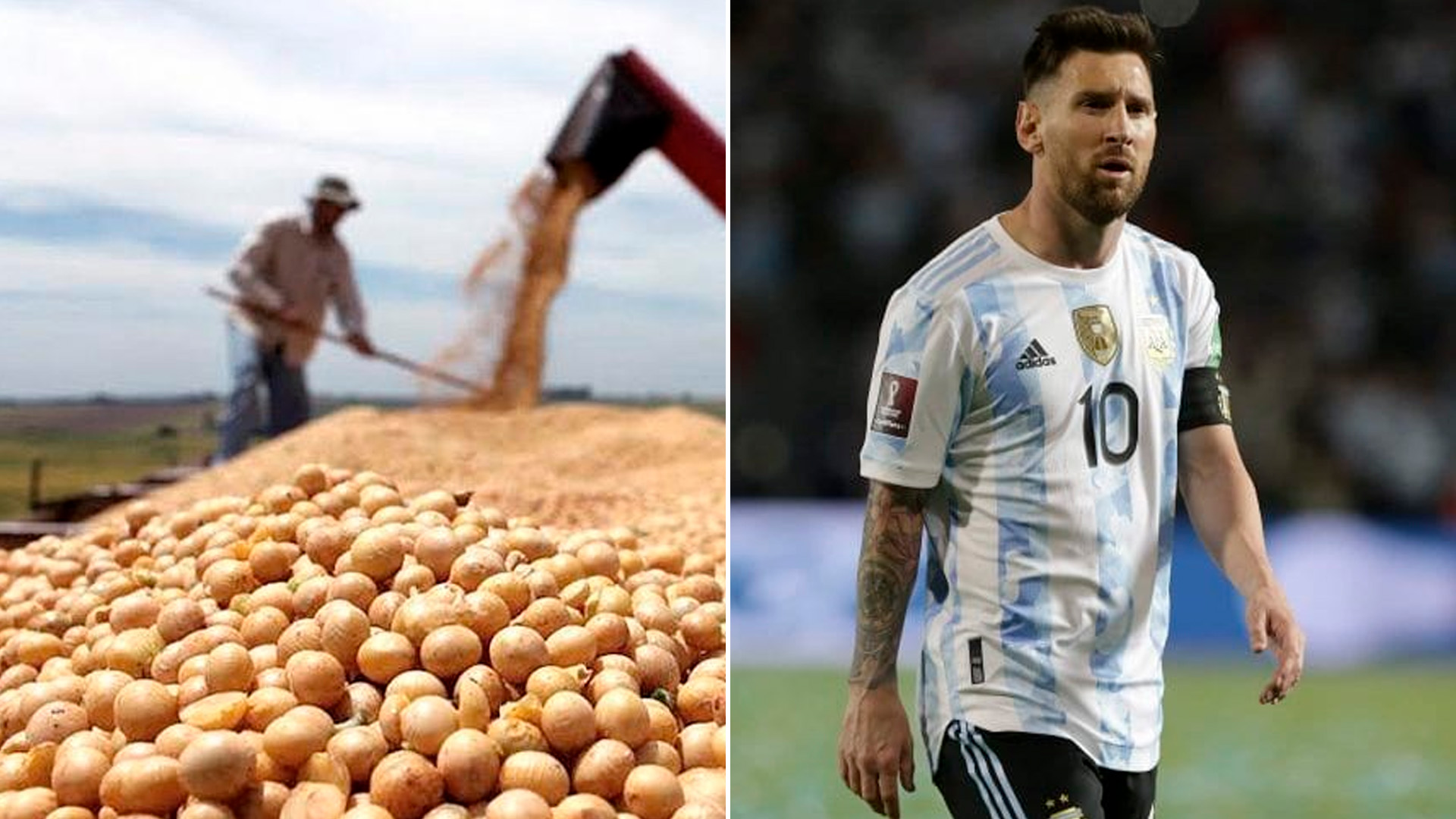 El cálculo es que unos 43.000 argentinos ya compraron pasajes e hicieron reservas de alojamiento para el Mundial de Fútbol en Qatar. A diferencia del "dólar-soja", de $ 200, el "dólar Qatar" costará $ 300, impuestos incluidos