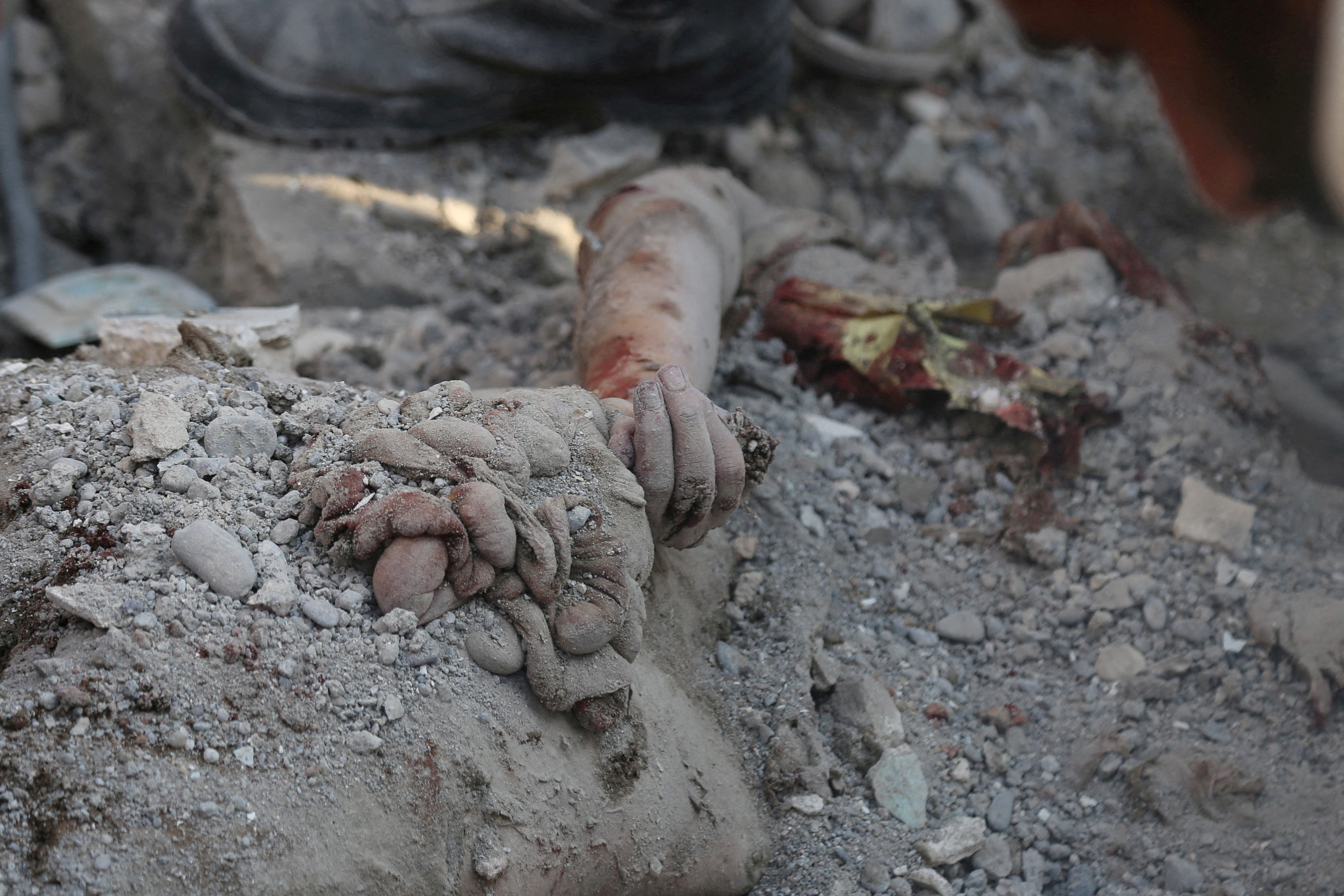 Qué significa encontrar murciélagos en casa de noche y por qué puede ser peligroso  