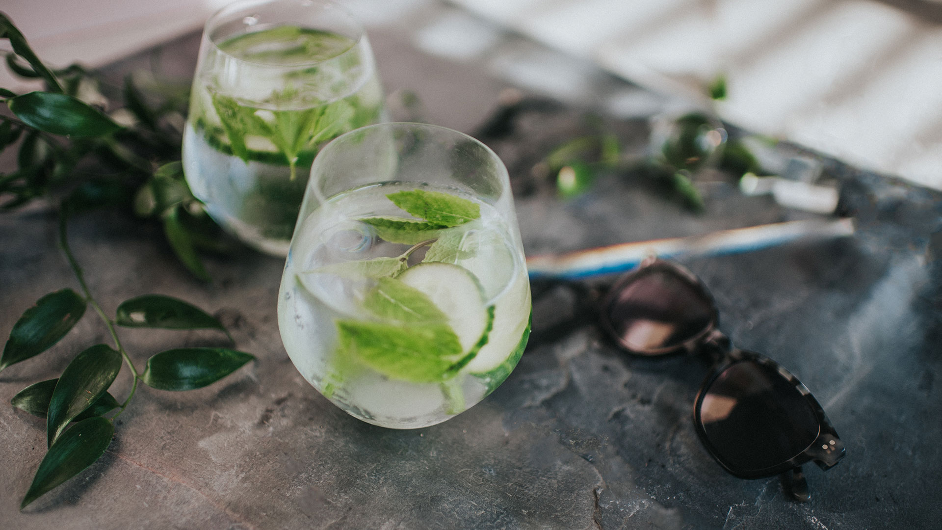11 opciones para preparar el mejor gin tonic