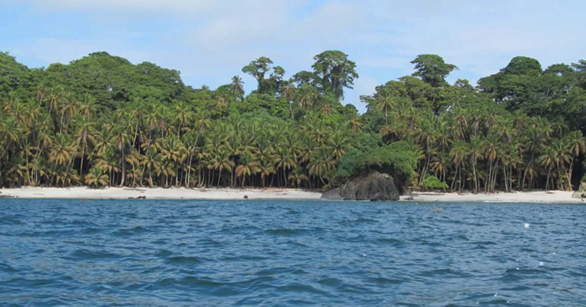 La ANLA impuso nuevas medidas para que el Ministerio de Defensa y la Armada Nacional de Colombia, tengan el adecuado manejo y control de las obras en Isla Gorgona. PNN