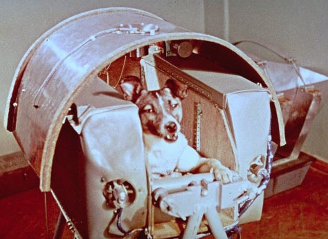 El lanzamiento del primer ser vivo al espacio ocurrió con la famosa perra Laika, durante el programa espacial soviético en la nave Sputnik 2.


