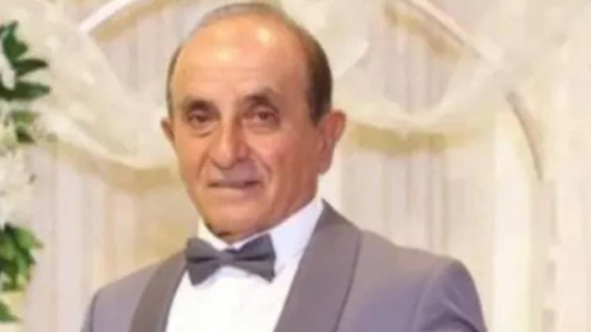 Qué hacer con los perros callejeros