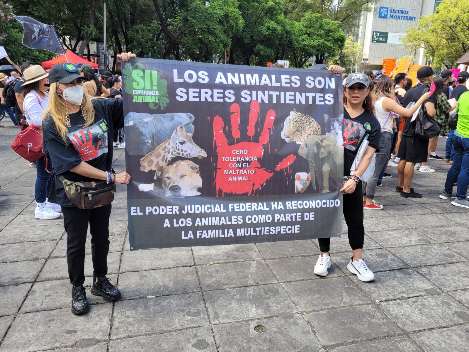 Protesta Por Los Derechos De Los Animales Miles De Personas Salen A La