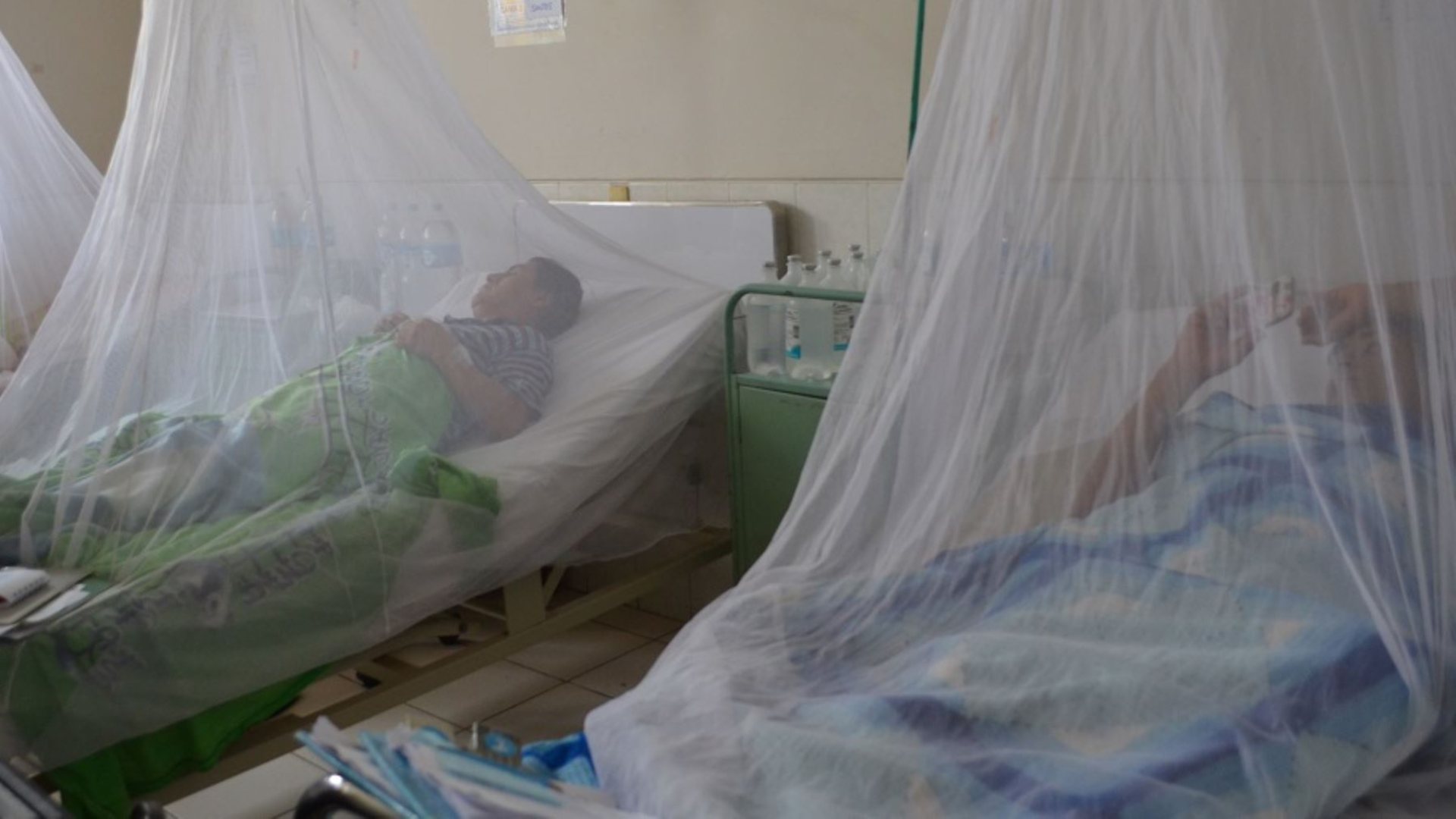 Los casos de dengue grave han aumentado, junto con las muertes