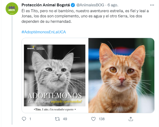 Tweet de la cuenta oficial del Instituto Distrital de Protección y Bienestar Animal. Presentado algunos de sus felinos en adopción. 
Foto: Vía @@AnimalesBOG