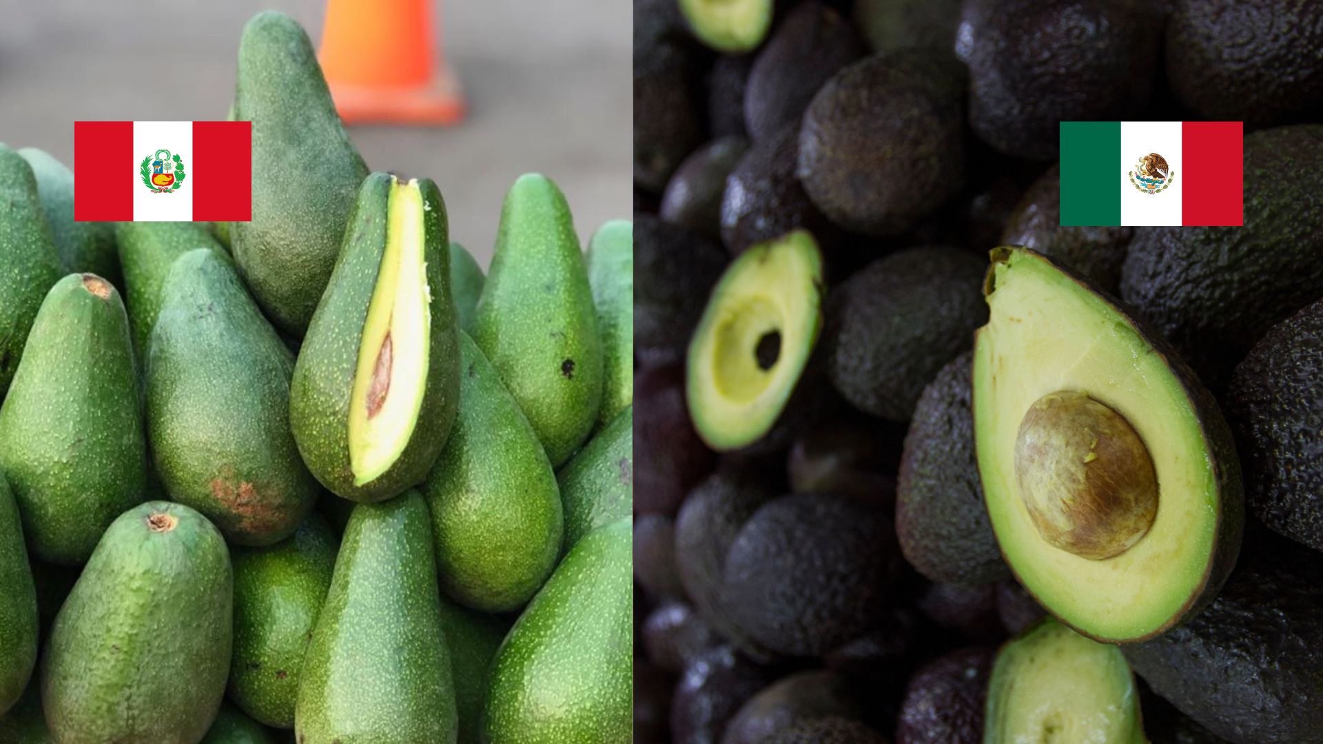 ¿Palta de Perú o aguacate de México? Chat GPT revela dónde se originó esta exquisita fruta también llamada “oro verde”