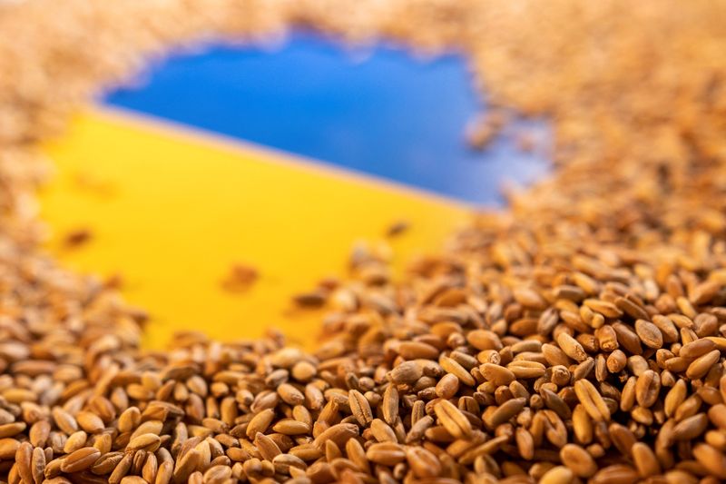 Imagen de archivo ilustrativa de la bandera ucraniana cubierta de granos tomada el 9 de mayo, 2022. REUTERS/Dado Ruvic/Ilustración/Archivo