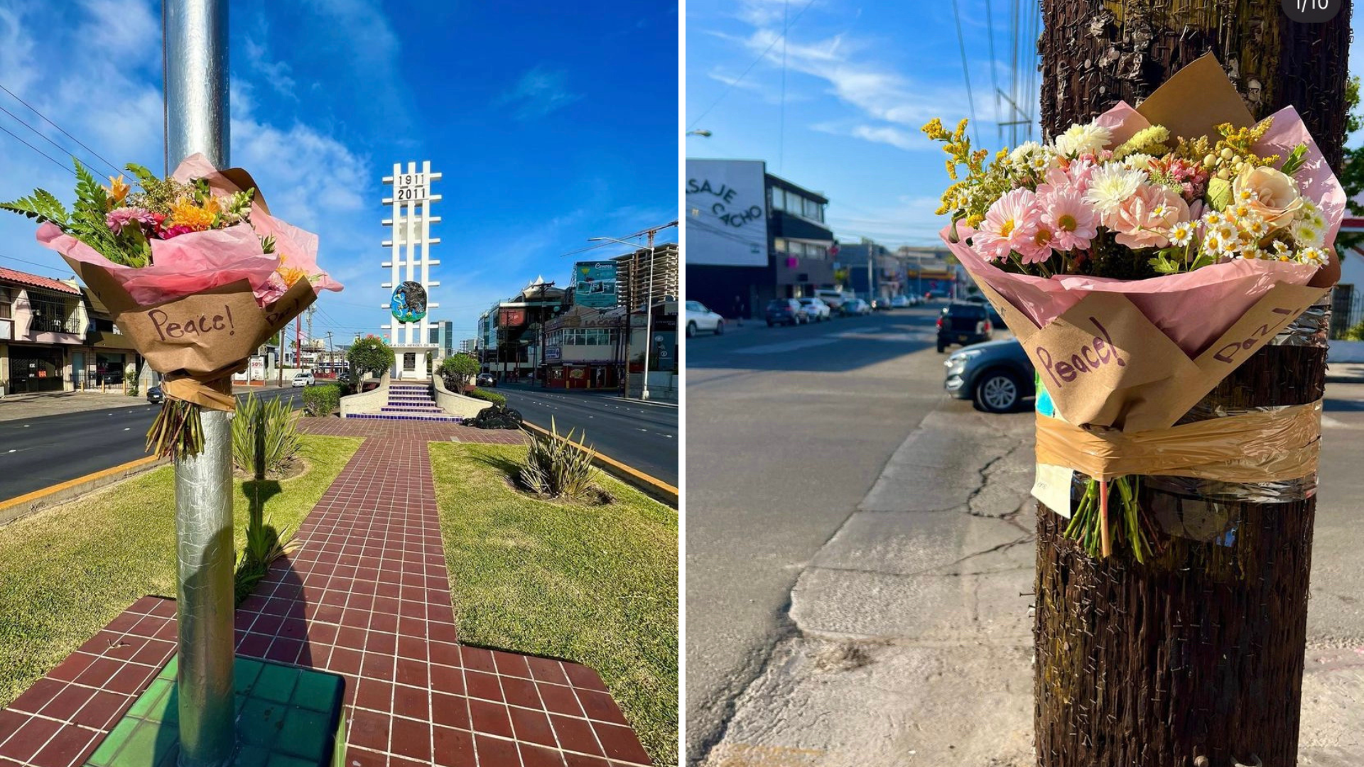 Flores de paz en Tijuana: tras la fuerte ola de violencia, la ciudad fue adornada con arreglos