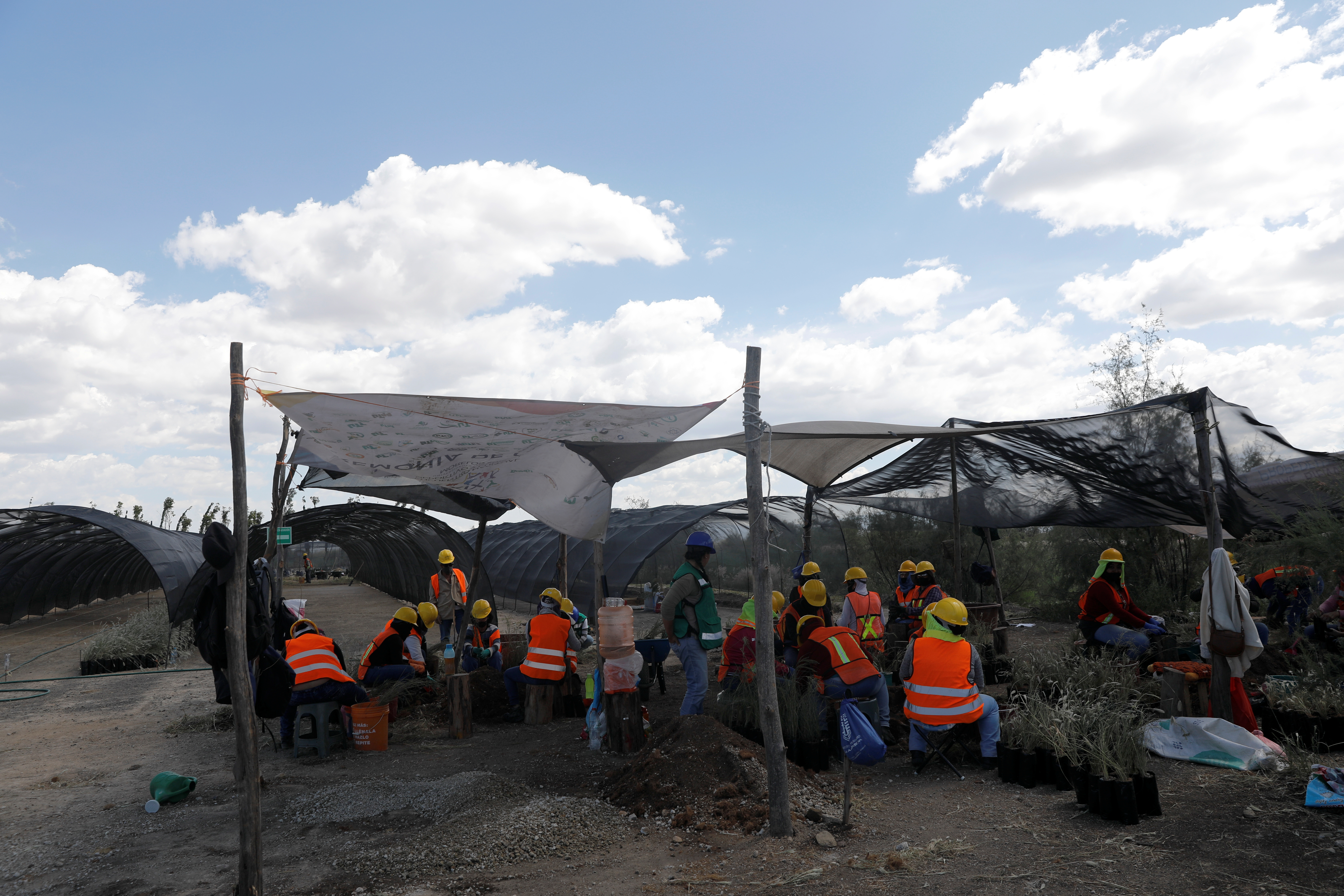 Trabajadores preparan plantas nativas en el centro de jardinería cerca de la zona cancelada del aeropuerto como parte de un proyecto para conservar 12,200 hectáreas de tierra en Texcoco en las afueras de la Ciudad de México, México, 3 de septiembre de 2020. Fotografía tomada el 3 de septiembre de 2020.