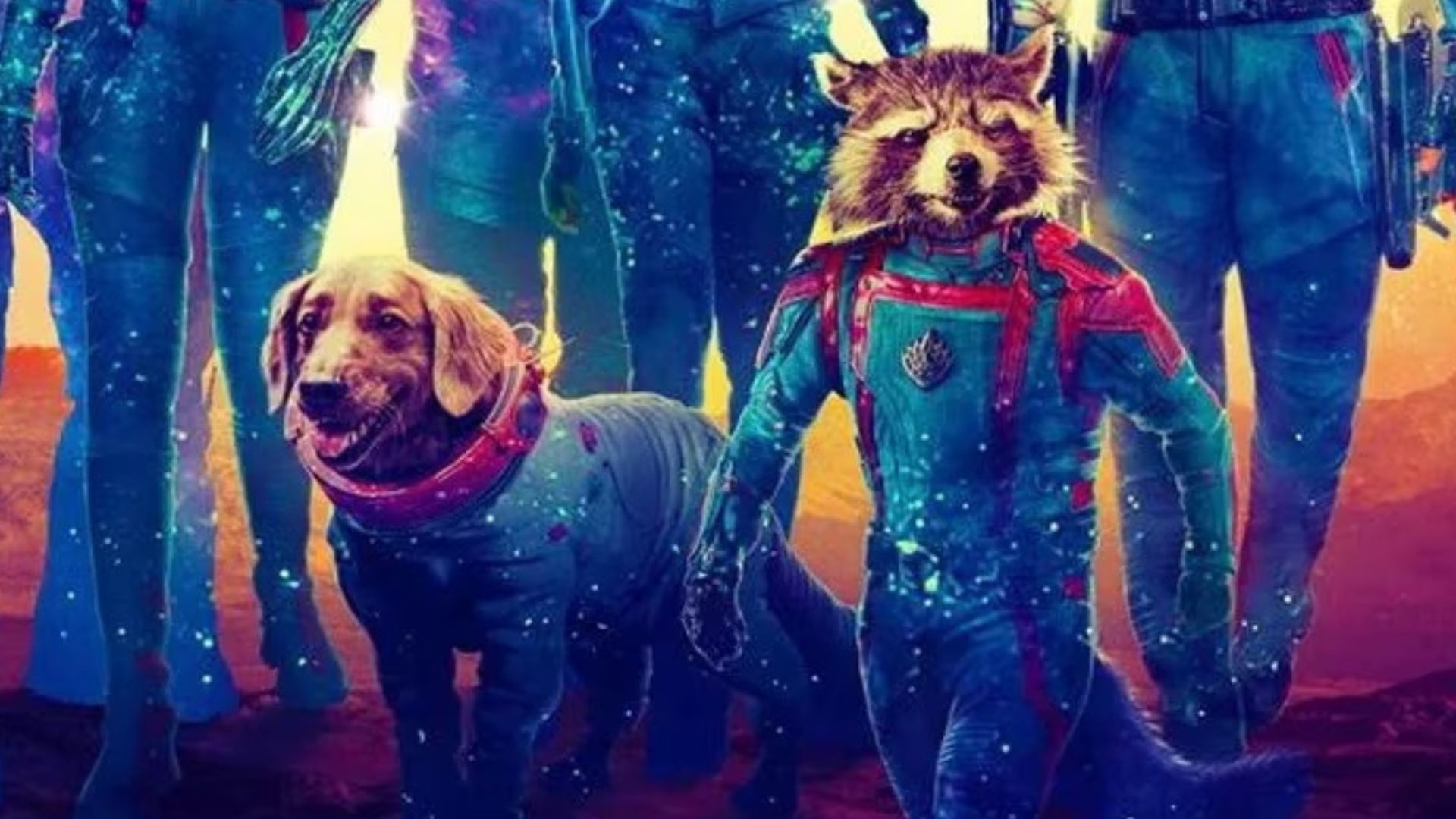 Qué tiene que ver Guardianes de la Galaxia Vol. 3 con los animales y por qué PETA aplaudió la película