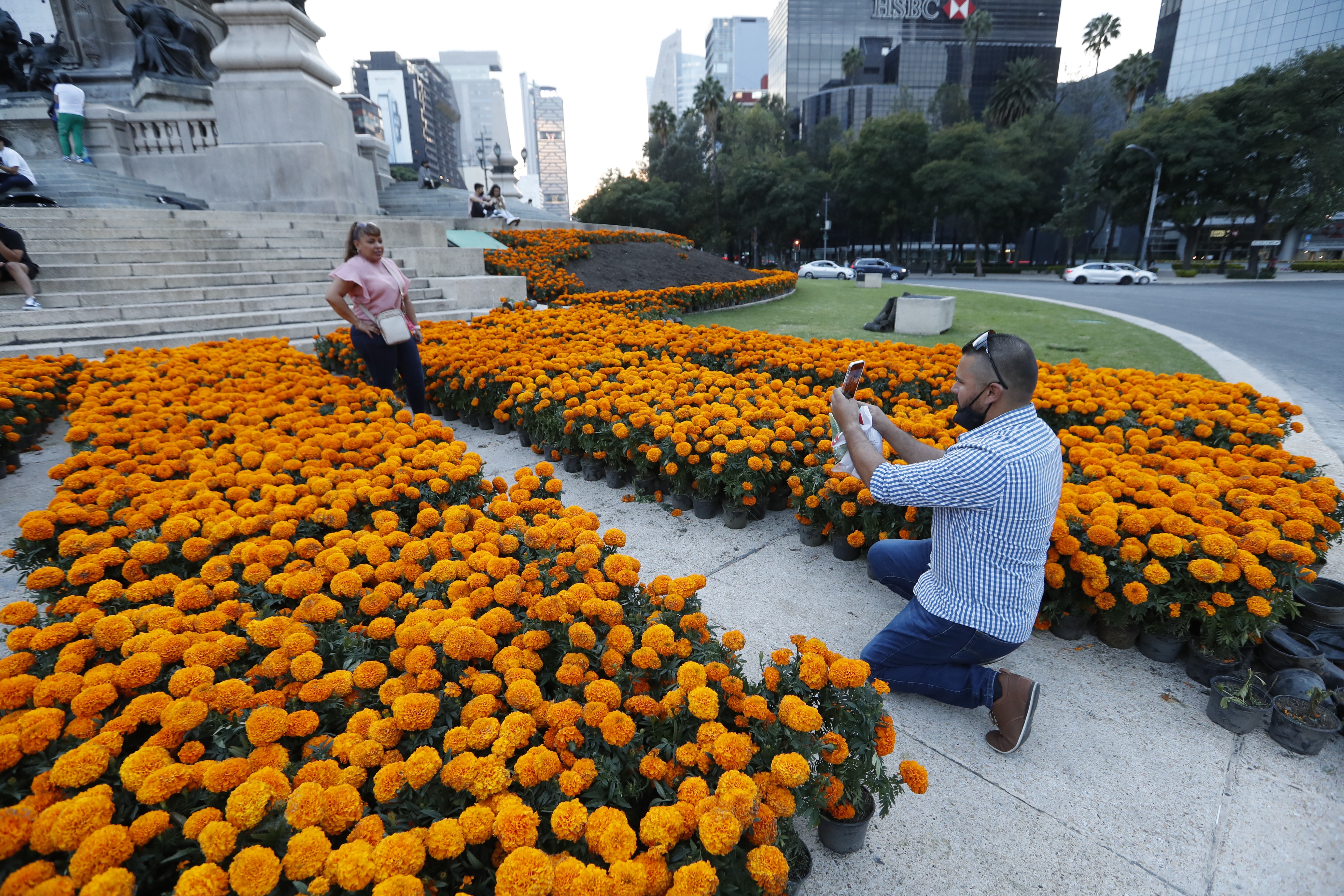 Día de Muertos: la CDMX fue adornada con 260,000 flores de cempasúchil -  Infobae