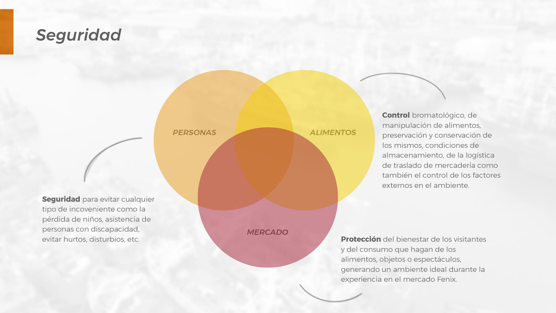 Los tres ejes importantes del proyecto