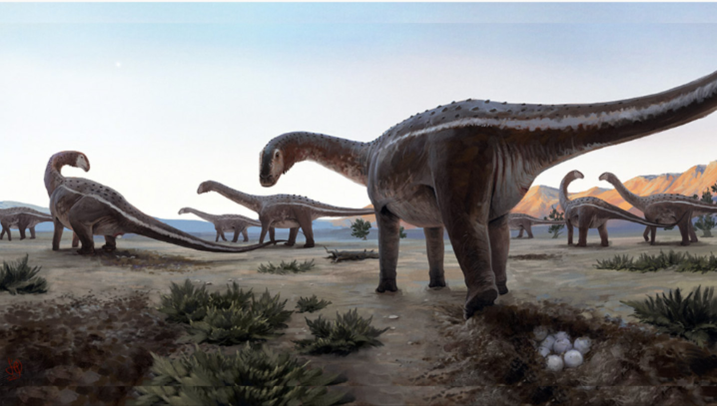 Neuquén: hallaron el fémur de un titanosaurio