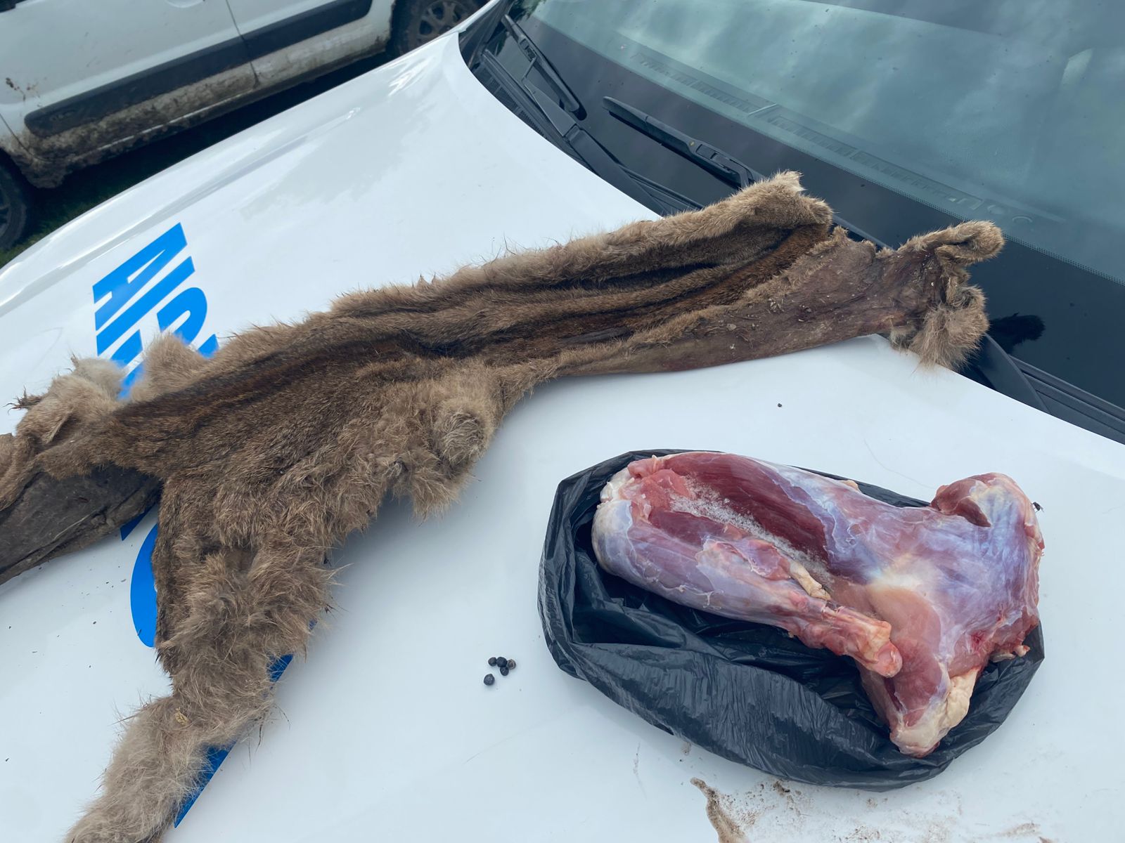 Una auditoría en el PAMI detectó fraudes y falsificaciones en órdenes médicas