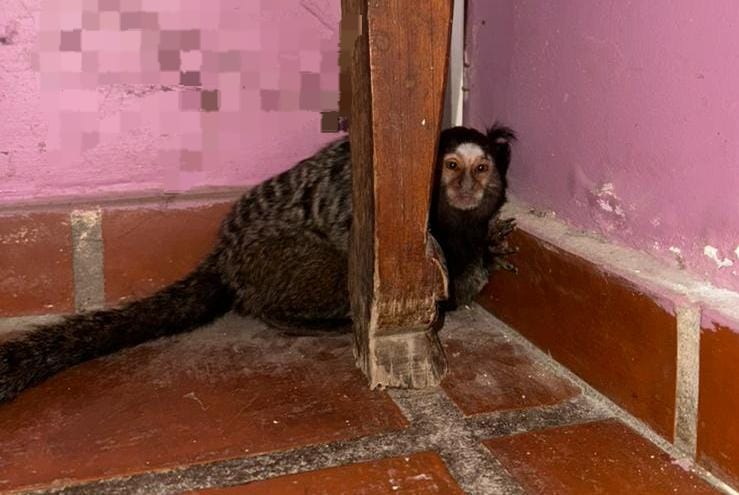 Pelea por las tasas municipales: las alimenticias se sumaron a las críticas y pidieron acelerar la reforma tributaria 