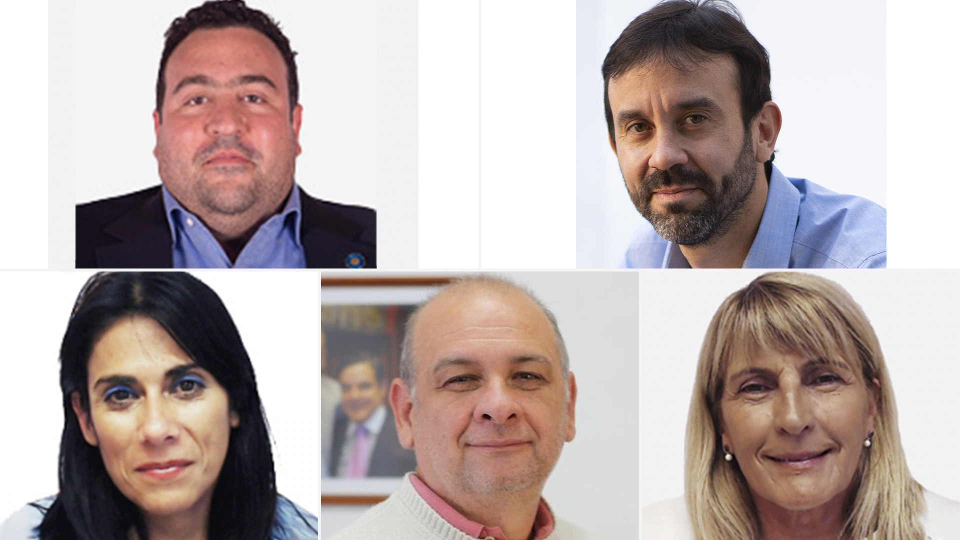 Los legisladores Antonio Carambia, Felipe Álvarez, Flavia Morales, Ricardo Welbach y Alma Sapag