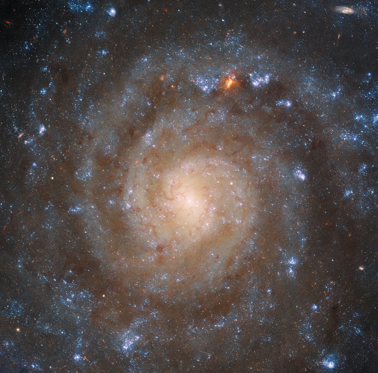 Galaxia IC 5332. (foto: Agencia Espacial Europea)