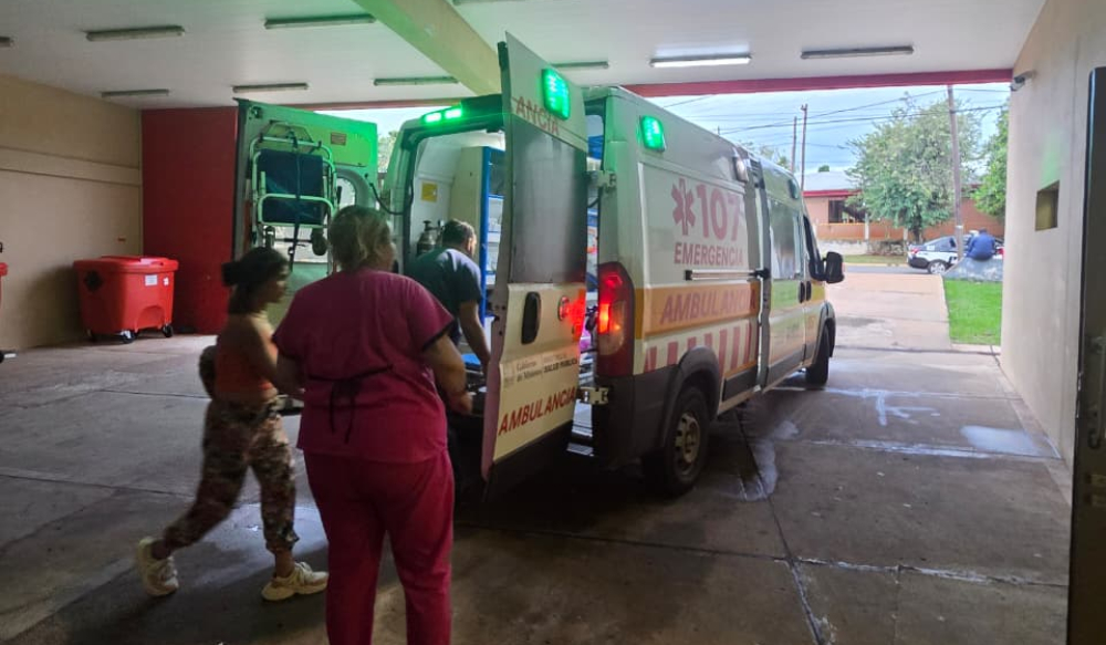 Salvaje ataque en Misiones: siete perros mordieron a un ni&ntilde;o dentro de su casa y termin&oacute; con m&uacute;ltiples heridas