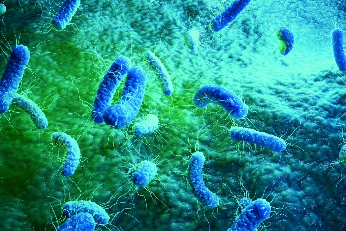 “No es difícil hacer a los microbios resistentes a la penicilina en el laboratorio exponiéndolos a concentraciones insuficientes para matarlos, y lo mismo ha ocurrido en alguna ocasión en el cuerpo”, predijo el Premio Nobel Alexandrer Fleming en 1945
