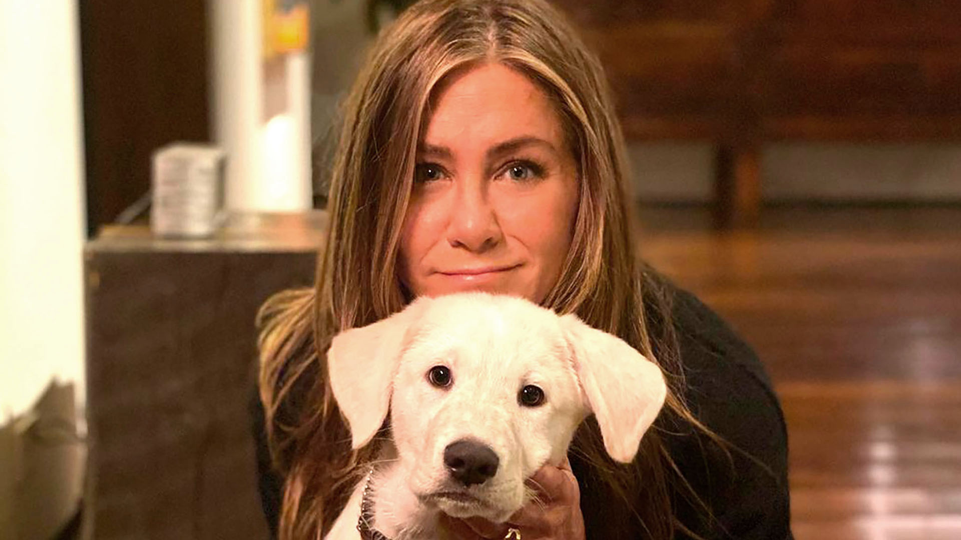 Jennifer Aniston publicó varias imágenes con Lord Chesterfield, un cachorro que adoptó en pandemia 