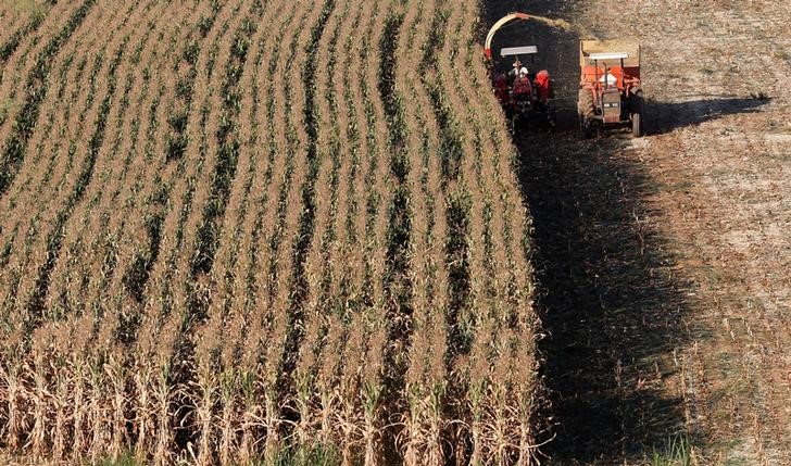 La Bolsa de Comercio de Rosario proyecta una campaña agrícola sustentable, que sería la más importante de los últimos años.  REUTERS/Paulo Whitaker.