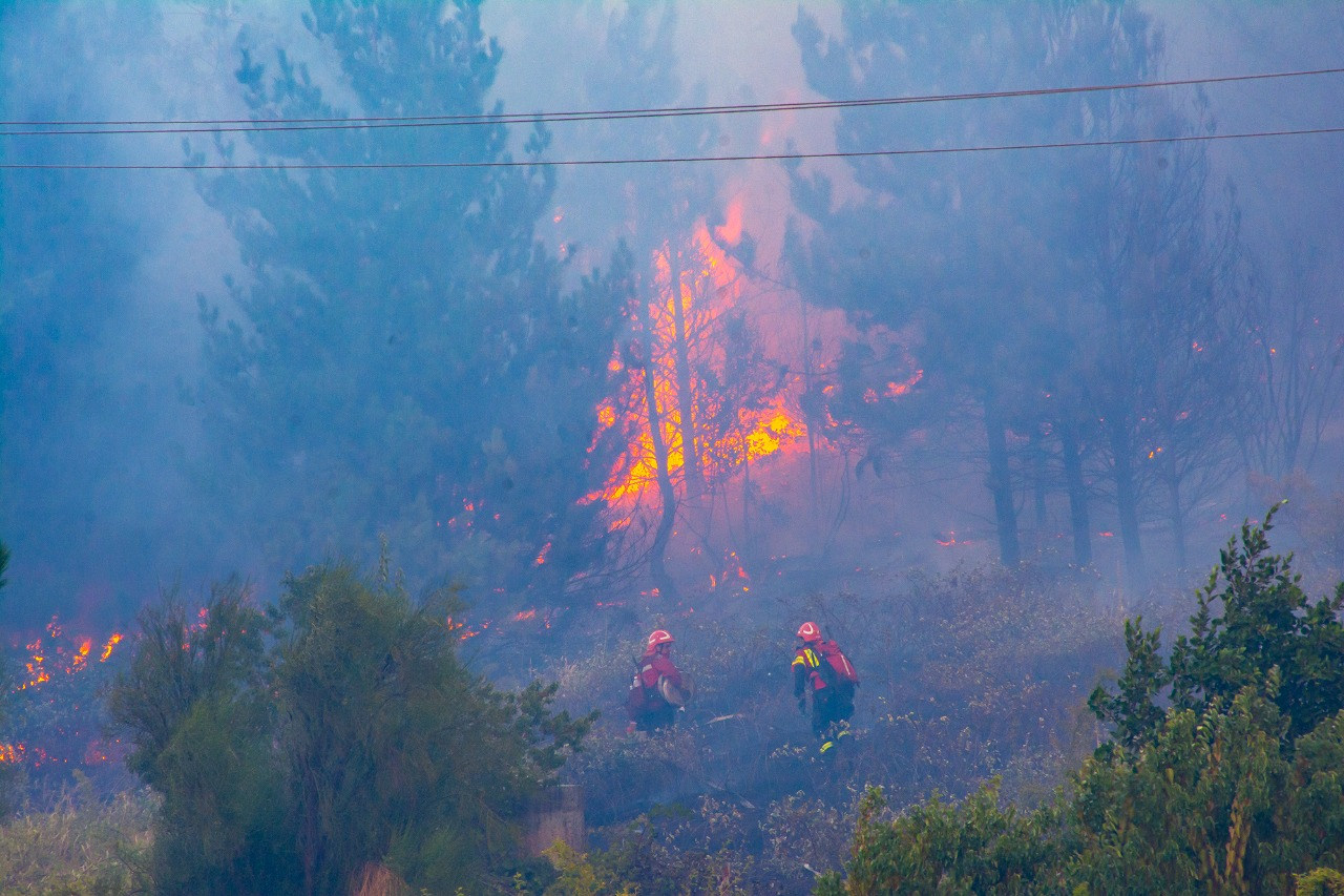 Brigadistas combaten un incendio forestal en Chubut

