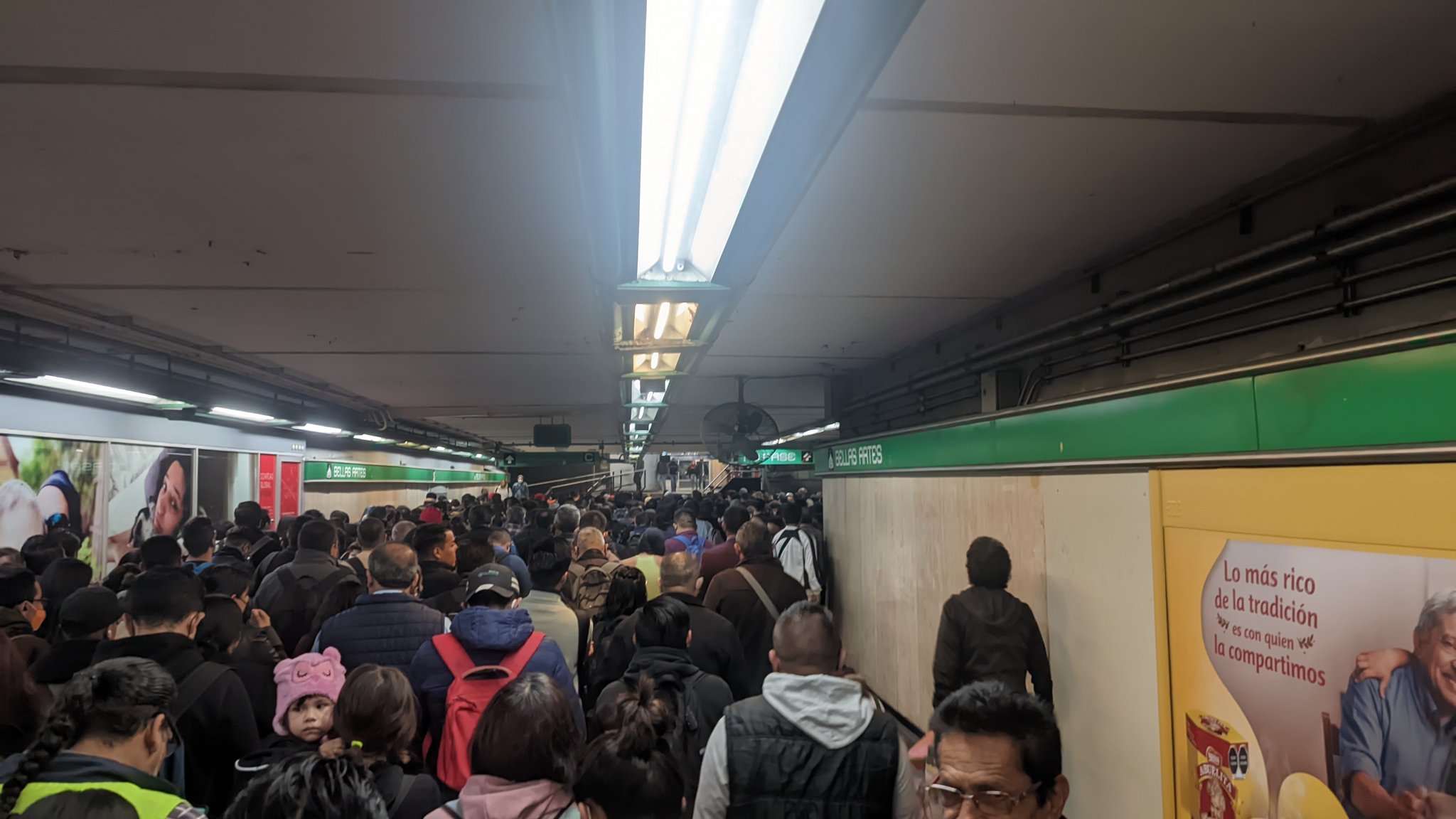 La mañana de este miércoles 08 de febrero al menos tres líneas del Sistema de Transporte Colectivo (STC) presentaron retrasos en el tránsito de trenes (Twitter/@uvitasdolly)