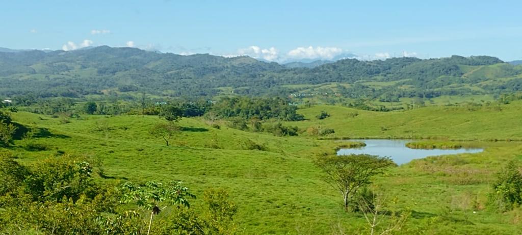 Gobierno instauró Zona de Reserva Campesina en el Cauca que beneficiará a 5.383 personas