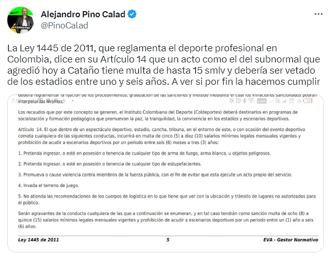 Alejandro Pino citó el reglamento de Dimayor tras el incidente de Cataño con hincha de Tolima