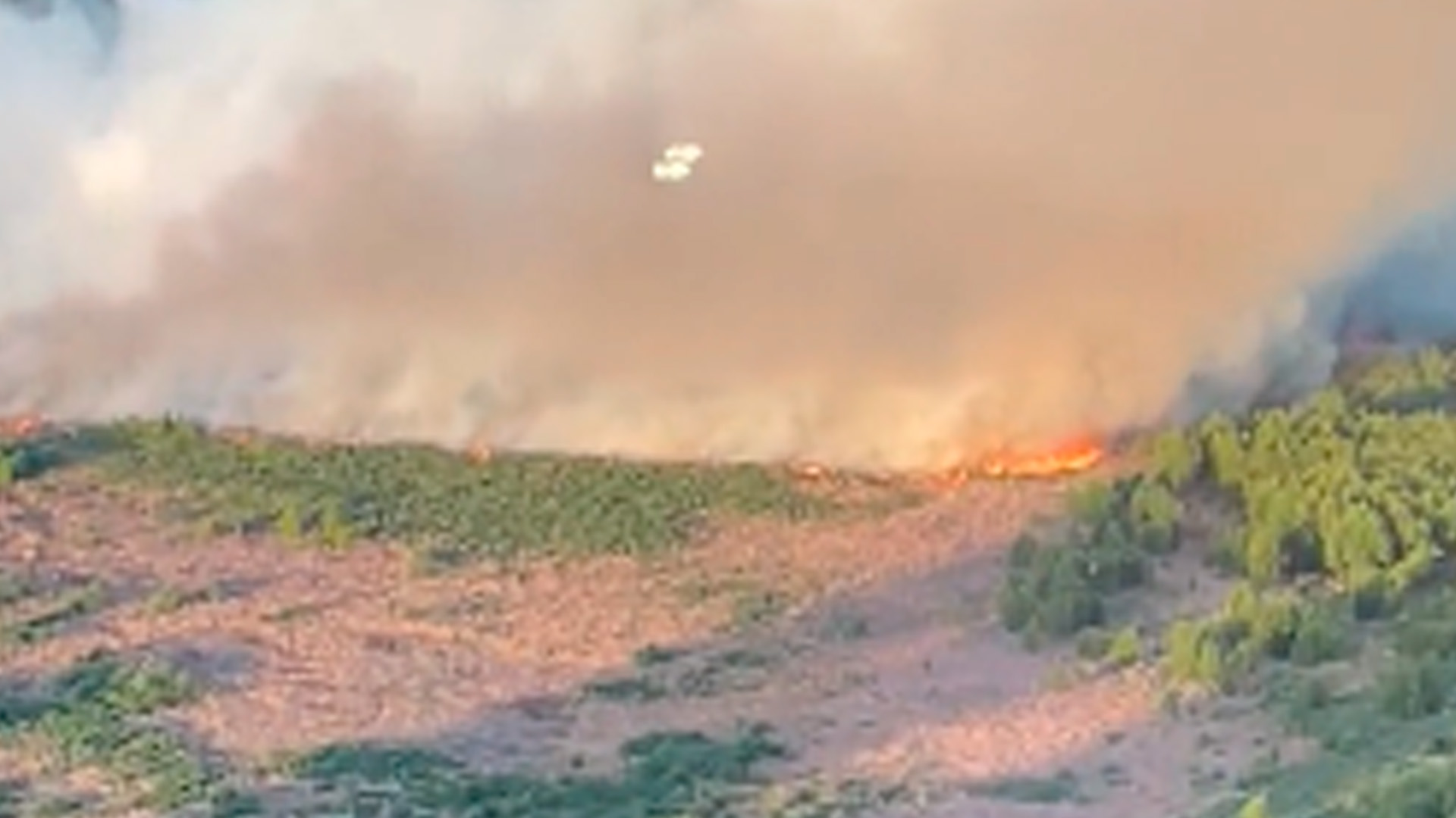 Incendio En La Reserva Ecológica Los Bomberos Lograron Controlar El Fuego Que Se Reactivó En La 8126