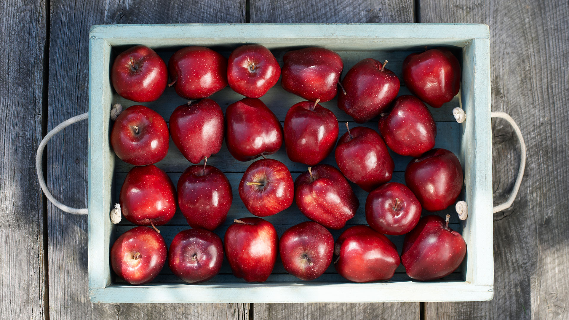 Rallada, en compota o en trozos, la manzana es una gran aliada de la dieta atringente (Getty)