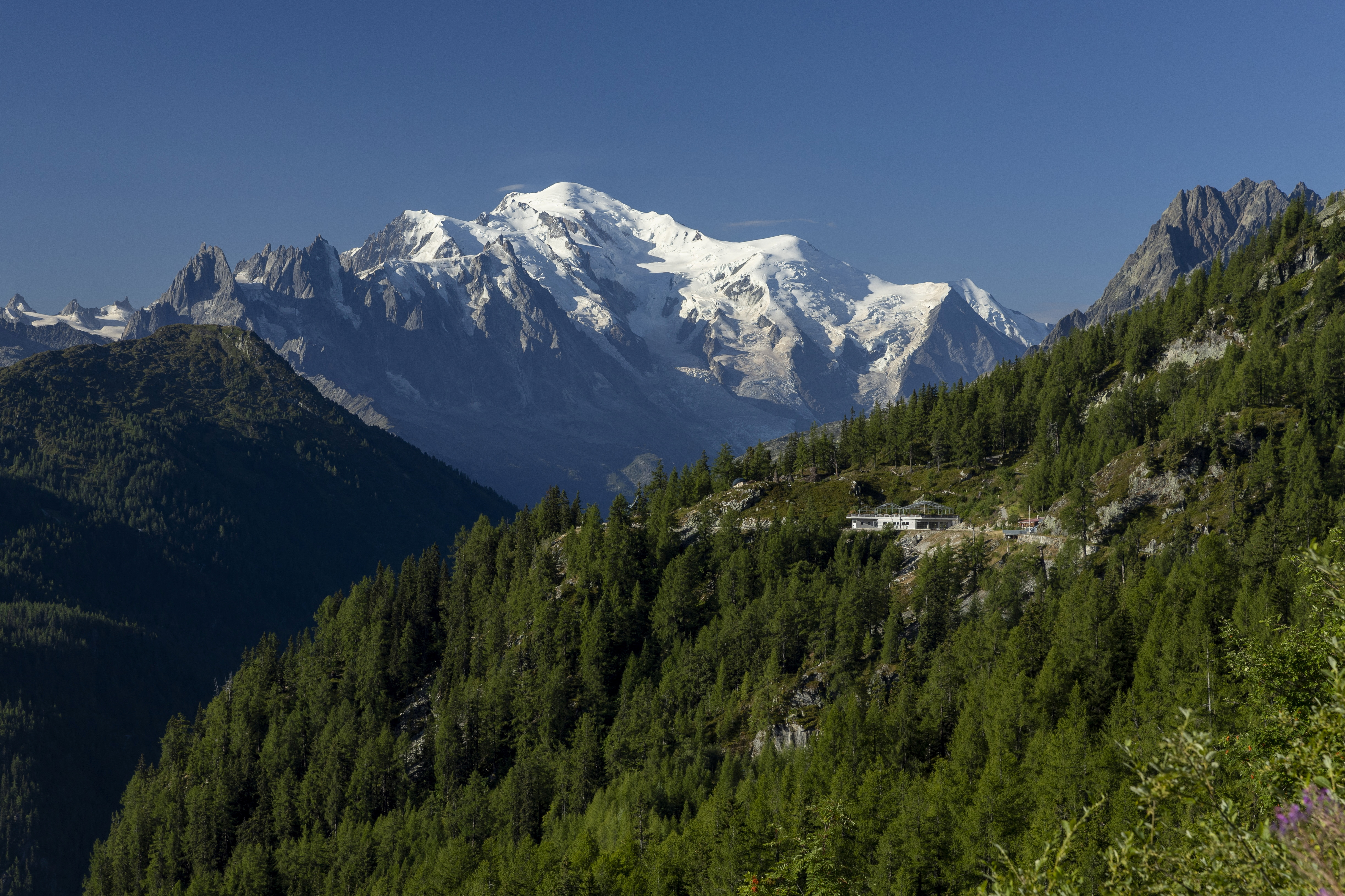 Una vista del Mont Blanc desde Finhaut, Suiza. Es el pico más alto de toda Europa Occidental (REUTERS/Denis Balibouse)