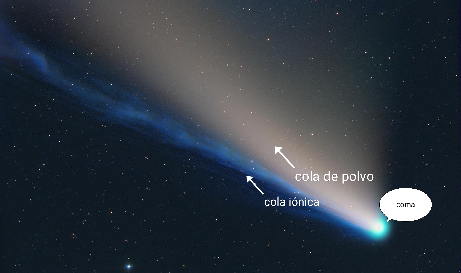 Explicación de la cola de polvo e iónica de un cometa. (foto: Twitter/Dr. Sebastián Bruzzone)