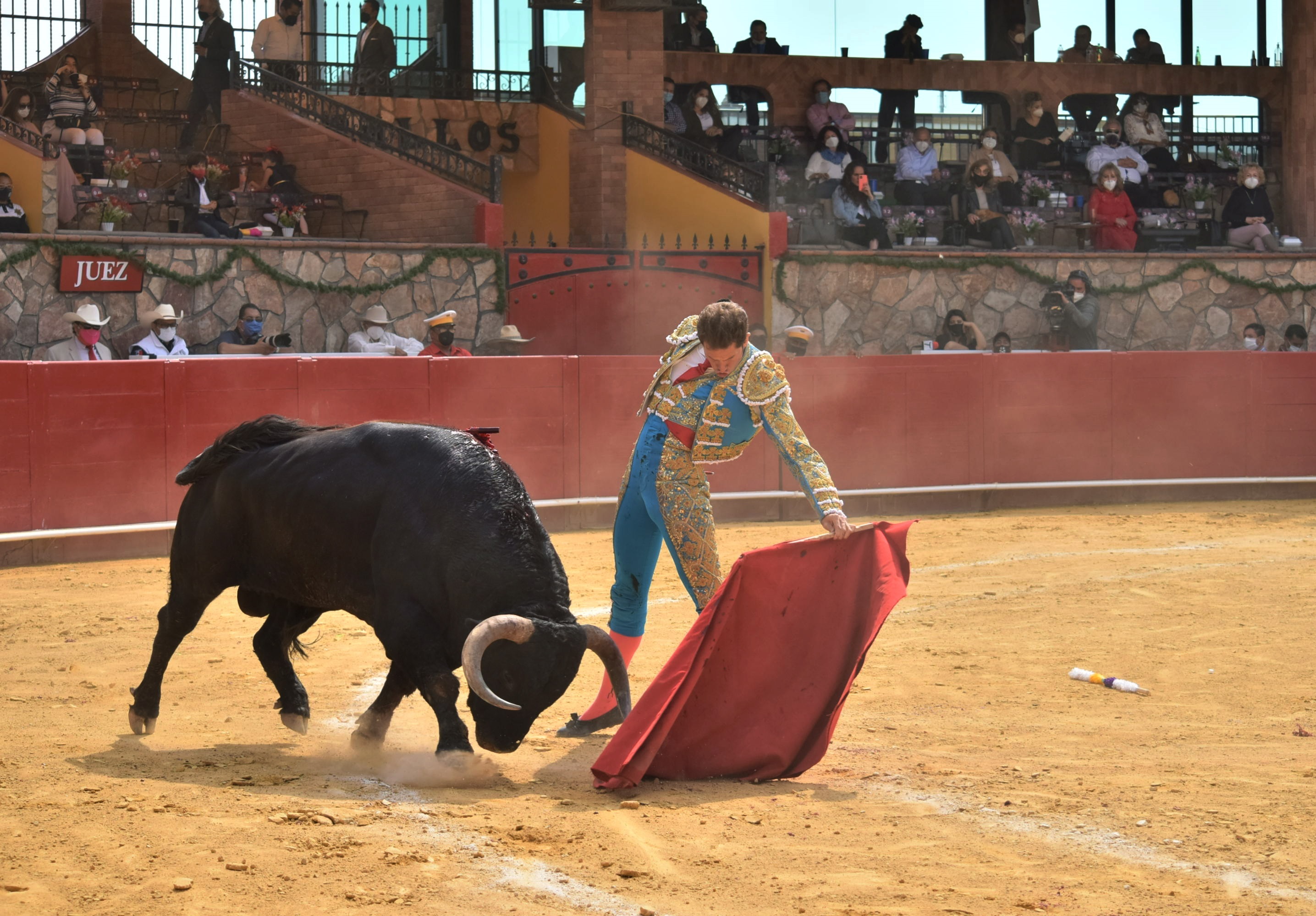 SCJN invalidó que las corridas de toros y peleas de gallos sean Patrimonio  Cultural, pero no las prohibió - Infobae