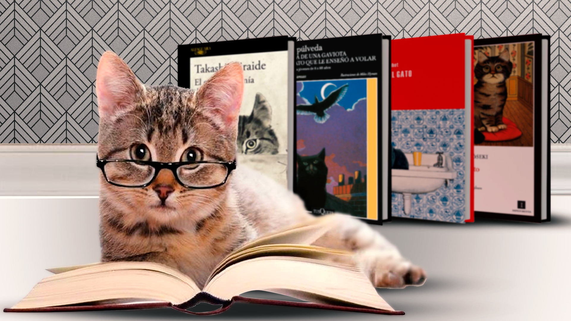 Las cuatro mejores novelas donde los gatos toman el protagonismo